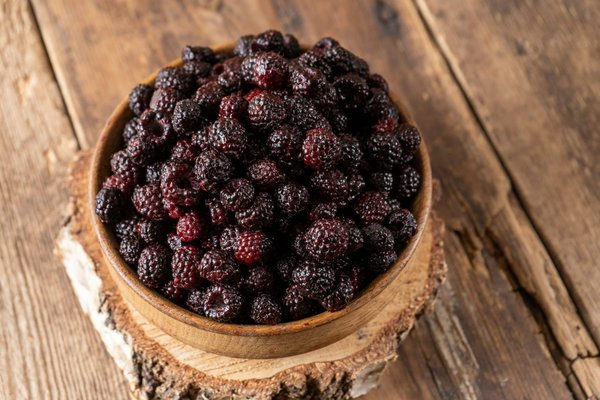 Les consoles de jeux hybrides : le meilleur des deux mondes